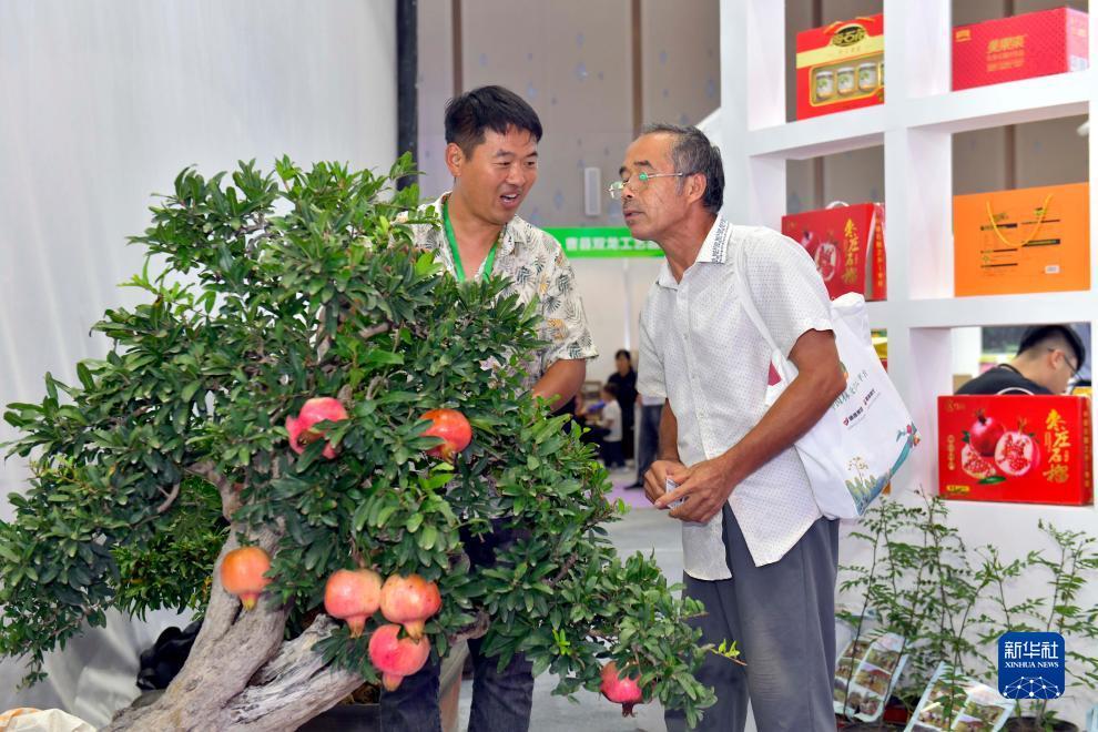 大玩家电子娱乐